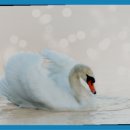 우림마트 이미지