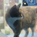 지에스(GS) 모란탑(TOP) | 2025년 11월