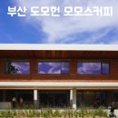 모모스가발 | 부산 신상 카페 도모헌 모모스커피 주말 오픈런 후기 주차장 위치