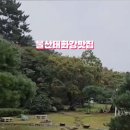 써니사이드업
