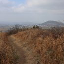 옥척지 네이버블로그