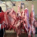 기천한우농장 이미지