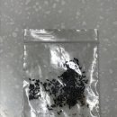 이야시 이미지