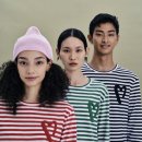 커티스몰