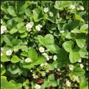 강담어린이집 이미지