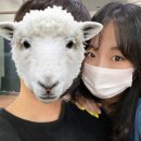 고강주먹고기 | 7월 일상기록 ː 동생아 시험 붙었네? 왕추카해 (♡˙︶˙♡)