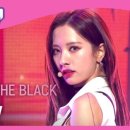 더이지(The Easy)
