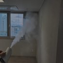 식물 이야기로 생활속에서 힐링 이미지