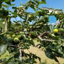 염색하기좋은날 이미지