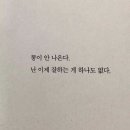 보라1통 | 다이어트 도전기3! / 푸드올로지 2주 다이어트 솔직후기 _step1. 톡스올로지 클렌즈비움 PRO 보라통...