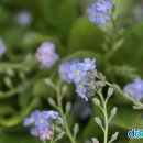 상명대학교박물관 이미지