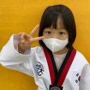 국가대표신동태권도장 이미지