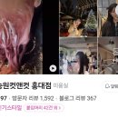 신승원컷앤컷홍대붙임머리 이미지