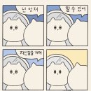 머슬메모리 이미지