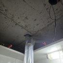 봉곡동302 이미지