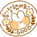 프로토탈크리닝 이미지