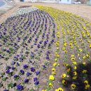 농지조성 이미지