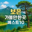 속리산알프스야영장 | 보은 가볼만한곳 베스트10