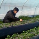 조정현농장 이미지