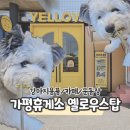 더 퍼피즈 블루오션 쿡 | 가평휴게소 강아지 운동장/카페/용품점 옐로우스탑 (노란라면/노란소주)