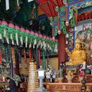 설악민물장어 이미지