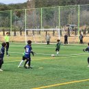 고성군 4 이미지