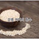 힐링스토리 | 여행 중 필수 방문지! 강릉 테라로사 본점 커피 공장 - 강릉 테라로사, 커피 공장 투어, 강릉 여행 필수...