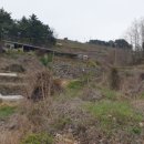 부영나라공인중개사사무소 이미지