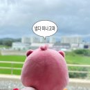 송용석 | 냅다 술마셔버리기