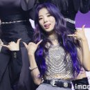 퍼플홀 이미지