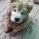 일루와농장 이미지