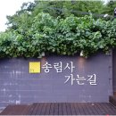 송림사가는길 이미지