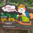 팔공산 둘레길 1구간 이미지