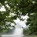 중앙공원(자전거교실) 이미지