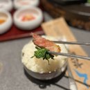 네돈내먹 | 목포 고기집, 부산 주먹 소금구이가 맛있는 부산갈매기 목포평화광장점