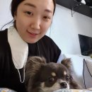 새롬이네집 이미지