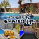 협재W.hill | 제주도 풀빌라 이국감성 독채펜션 수영장 자쿠지 숙소 협재 더블유힐 W.HILL