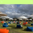 그림책 미술관 | [부산현대미술관] 〈책그림섬 소풍〉 후기