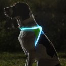 라이트 하운드 이미지