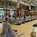 두루약품(주) 이미지