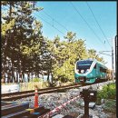 강릉정동진바다풍경오션뷰펜션 이미지