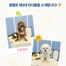 몽벨로 펫 케어센터 이미지