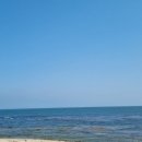 구룡포시장 이미지