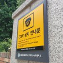 이대부속초등학교 이미지