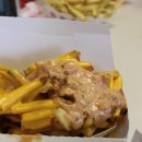 서진동물약국 이미지