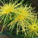 동래원예고등학교 이미지