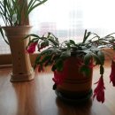 한일노래연습장 이미지