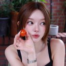 초아 카카오 검색결과