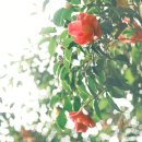 왕궁포레스트 이미지