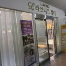 더봄호텔 | 대전 괴정동 네일 3월 상큼 터지는 봄아트 이달의 아트 후기 라브니크 뷰티